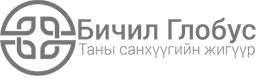 Partner 6